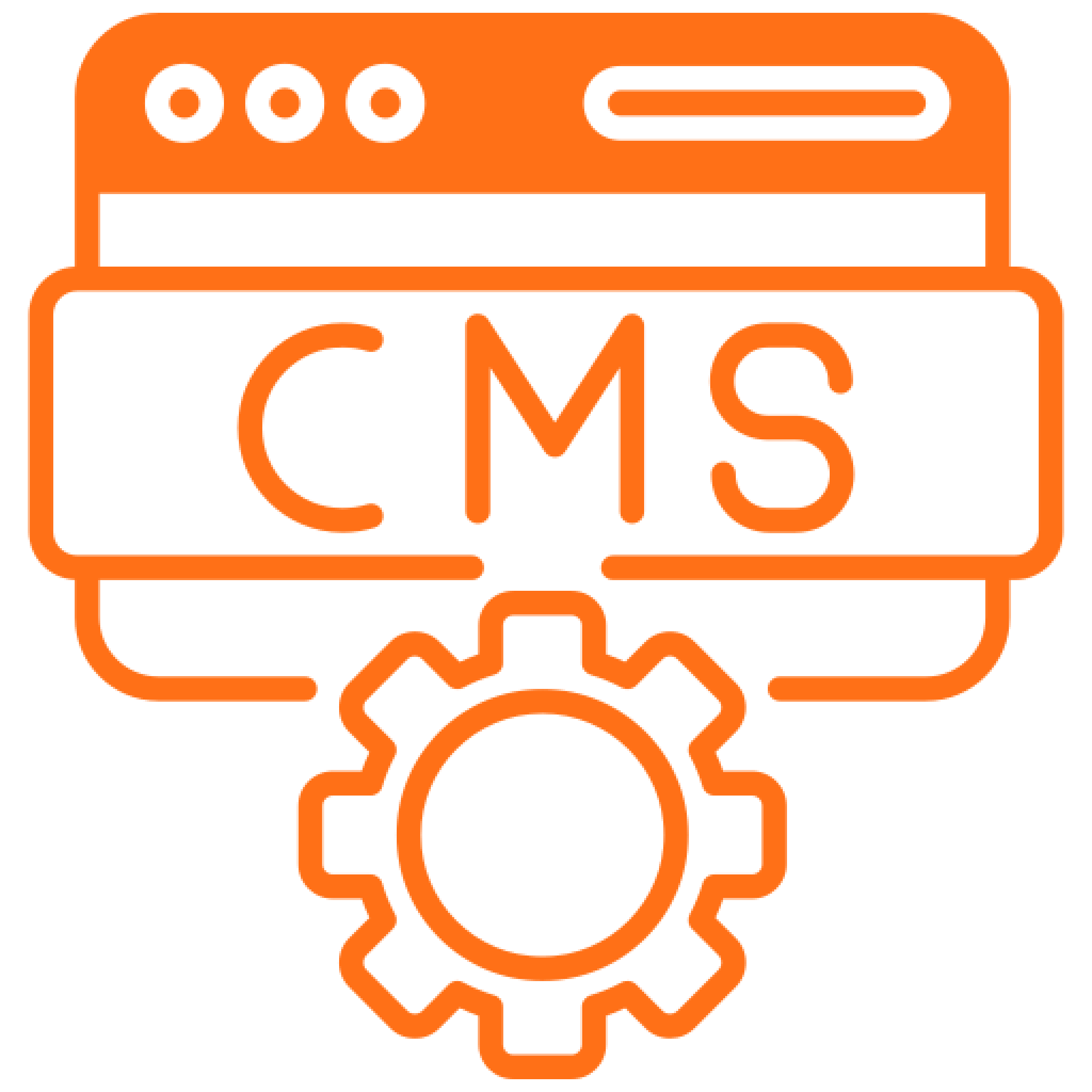 Website CMS Development